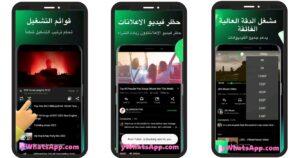 تحميل برنامج Pure Tuber مهكر 2024 اخر اصدار مجانا 1